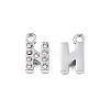 304 Stainless Steel Charms STAS-N095-137N-2