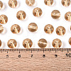 FGB Transparent Glass Seed Beads SEED-N013-01C-05-5