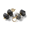 Natural Netstone Cuboid Beaded Pendants STAS-C120-02G-01-2
