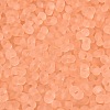 FGB Frosted Transparent Glass Seed Beads SEED-N013-06A-04-3