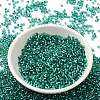 Glass Seed Beads SEED-S042-04B-29-2