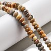 Natural Crazy Agate Beads Strands G-P559-A05-01-2