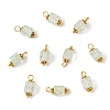 10Pcs Crackle Glass Pendants PALLOY-YW00067-02-1