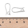 SHEGRACE Brass Earring Hooks XGR0003P-42P-3
