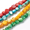 Freshwater Shell Beads Strands BSHE-O017-07-1