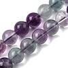 Natural Rainbow Fluorite Round Bead Strands G-P070-31-10mm-2