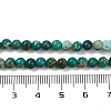 Dyed Natural Regalite/Imperial Jasper/Sea Sediment Jasper Beads Strands X-G-B124-C04-07-4