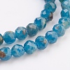 Natural Apatite Beads Strands G-F568-077-2mm-3