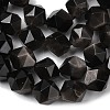 Natural Silver Obsidian Beads Strands G-Z119-A11-03-5