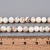 AB Color Natural Freshwater Shell Beads Strands BSHE-T014-40B-4