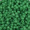 6/0 Luminous Glass Seed Beads SEED-NH0001-01G-3