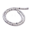 Natural Howlite Beads Strands G-F631-A03-2