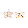 Transparent Acrylic Beads TACR-T028-71-3
