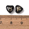 12Pcs 12 Styles Handmade Lampwork Beads SH-CBAD3AC-06-3