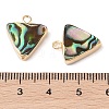 Natural Paua Shell Pendants SHEL-P017-20G-3