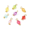 Transparent Acrylic Pendants PALLOY-JF01834-04-1