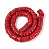 Natural Freshwater Shell Beads Strands SHEL-N037-03A-04-2