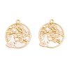 Rack Plating Alloy Enamel Pendants LS-FIND-A040-05A-03G-1