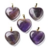 Natural Amethyst Pendants G-G956-B03-G-1