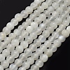 Natural White Moonstone Beads Strands G-P335-04-10mm-1