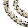 Natural Dalmatian Jasper Beads Strands G-M403-A31-02-4