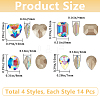 56Pcs 4 Styles Glass Rhinestone Cabochons RGLA-BBC0001-02-2