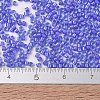 MIYUKI Delica Beads SEED-X0054-DB2388-4