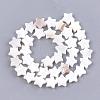 Freshwater Shell Beads Strands SHEL-Q021-07-2