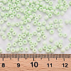 8/0 Opaque Glass Seed Beads SEED-S048-N-009-4