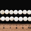 Natural Freshwater Shell Beads Strands X-SHEL-N038-05-4