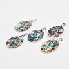 Abalone Shell/Paua Shell Pendants SSHEL-E557-09P-1