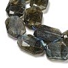 Natural Labradorite Beads Strands G-P544-B08-01-4