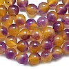 Natural Malaysia Jade Beads Strands G-L645-C01-14mm-32-4