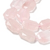 Natural Rose Quartz Beads Strands G-P544-B07-01-4