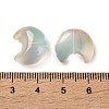 Baking Paint Transparent Glass Beads DGLA-F003-01G-3