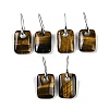 Natural Tiger Eye Dangle Earrings EJEW-C119-02P-07-1