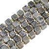 Natural Labradorite Beads Strands G-F832-A09-01-2