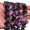 Natural Amethyst Flat Round Bead Strands G-L246-23-3