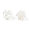Natural White Shell Bead Caps SSHEL-N032-58A-5