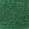 12/0 Glass Seed Beads X-SEED-A017-2mm-1114-2