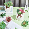 PVC Artificial Succulent Plant AJEW-SP0004-35C-3