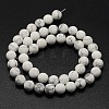 Natural Howlite Beads Strands X-G-D696-6mm-2