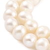 Natural Cultured Freshwater Pearl Beads Strands PEAR-C003-13F-4