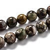 Round Natural Ocean Agate/Ocean Jasper Beads Strands G-O199-02C-1