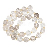 Natural Quartz Crystal Beads Strands G-U023-A07-01-3