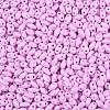 Baking Paint Glass Seed Beads SEED-T006-03L-2