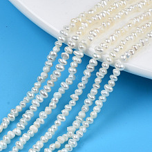 Natural Cultured Freshwater Pearl Beads Strands PEAR-N013-02C