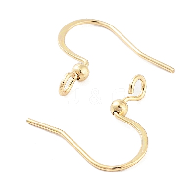 316 Surgical Stainless Steel Earring Hooks LS-X-STAS-K274-10G-1