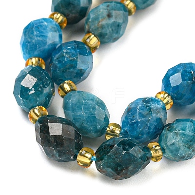 Natural Apatite Beads Strands G-N342-48-1