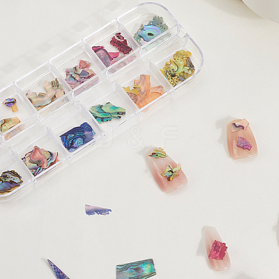 1 Set 12 Colors Shell Slices MRMJ-SP0001-05A-1